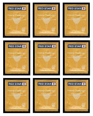WINE YEAST 10 PACK RS CHAMP PASTEUR CHAMPAGNE FOR CIDER SODA FRUIT MOONSHINERS