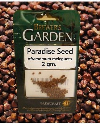PARADISE SEED 2gm BREWERS GARDEN FOR HOLIDAY BEER, BELGIAN ALE, AND SPECIALTY