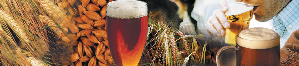 BEER KIT EURO LAGER MUNTONS PREMIUM EASY 2-WEEK 5 GALLON BEER BREWING INGREDIENTS KIT - Image 3