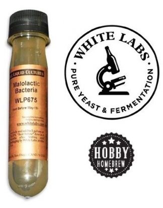 MALOLACTIC BACTERIA WHITE LABS WLP675 LIVE LIQUID ML FERMENTATION CULTURE