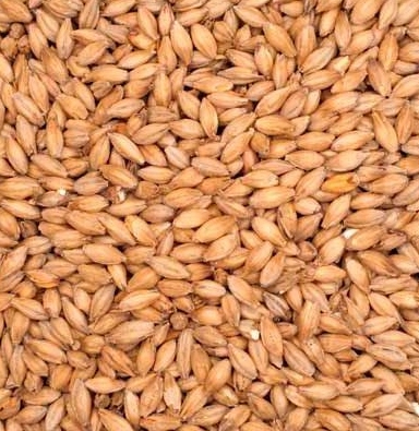 10 POUNDS IRISH STOUT MALT SPECIALTY GRAIN FOR GREAT POT STILL WHISKEY - Image 5