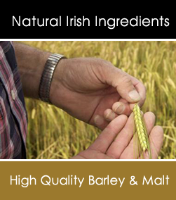 10 POUNDS IRISH STOUT MALT SPECIALTY GRAIN FOR GREAT POT STILL WHISKEY - Image 2