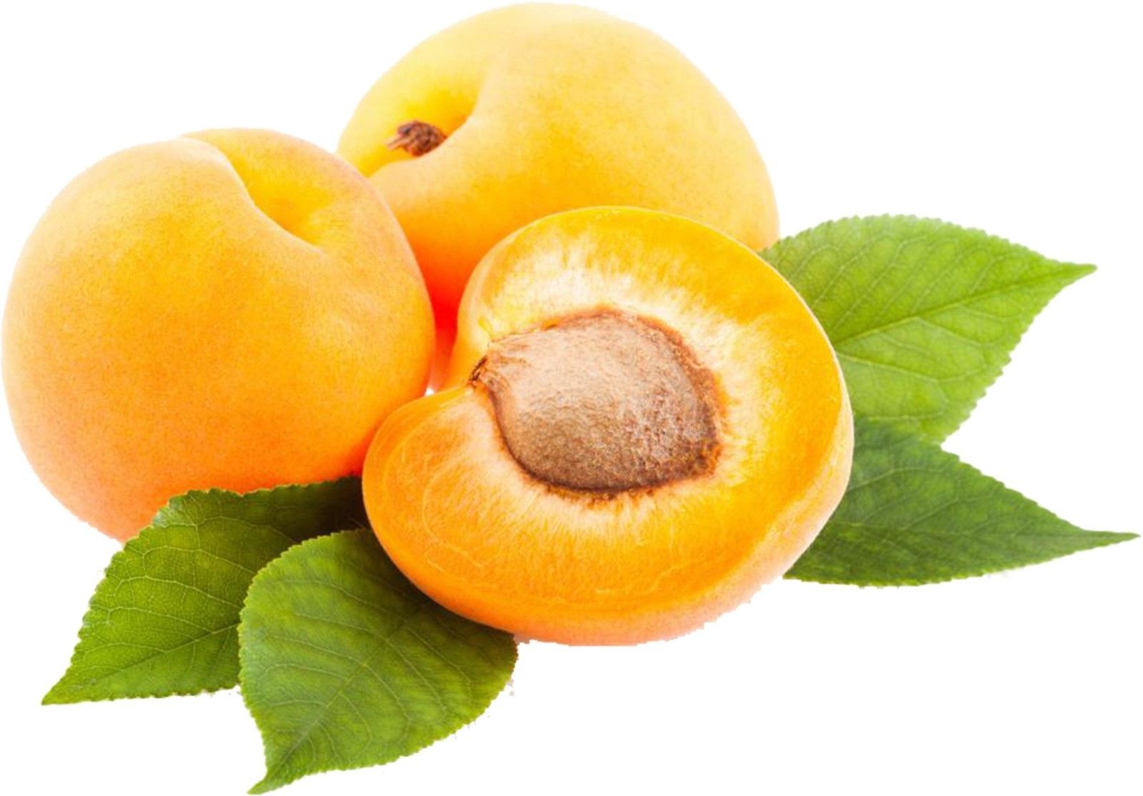 APRICOT #10 CAN Vintners Harvest Fruit Wine Base 96oz WINE KIT 3 OR 5 GAL - Image 6
