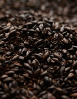 BLACK MALT Briess Malt for Beer Making 1 LB Unmilled (Formerly Black Patent)