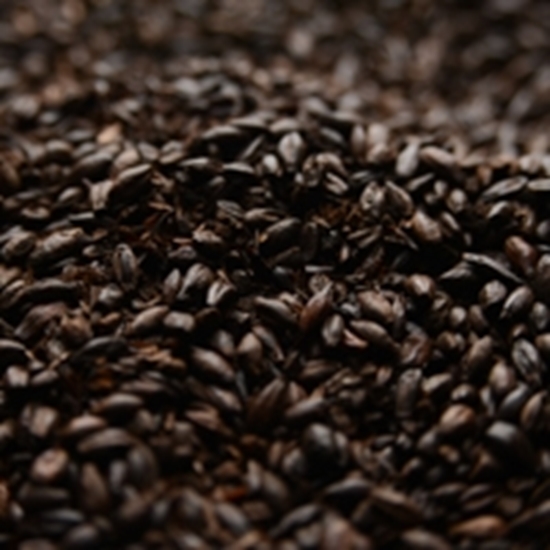 10LB BLACK MALT Briess Roasted Malted Barley for Beer Making (Formerly Black Patent Malt) - Unmilled