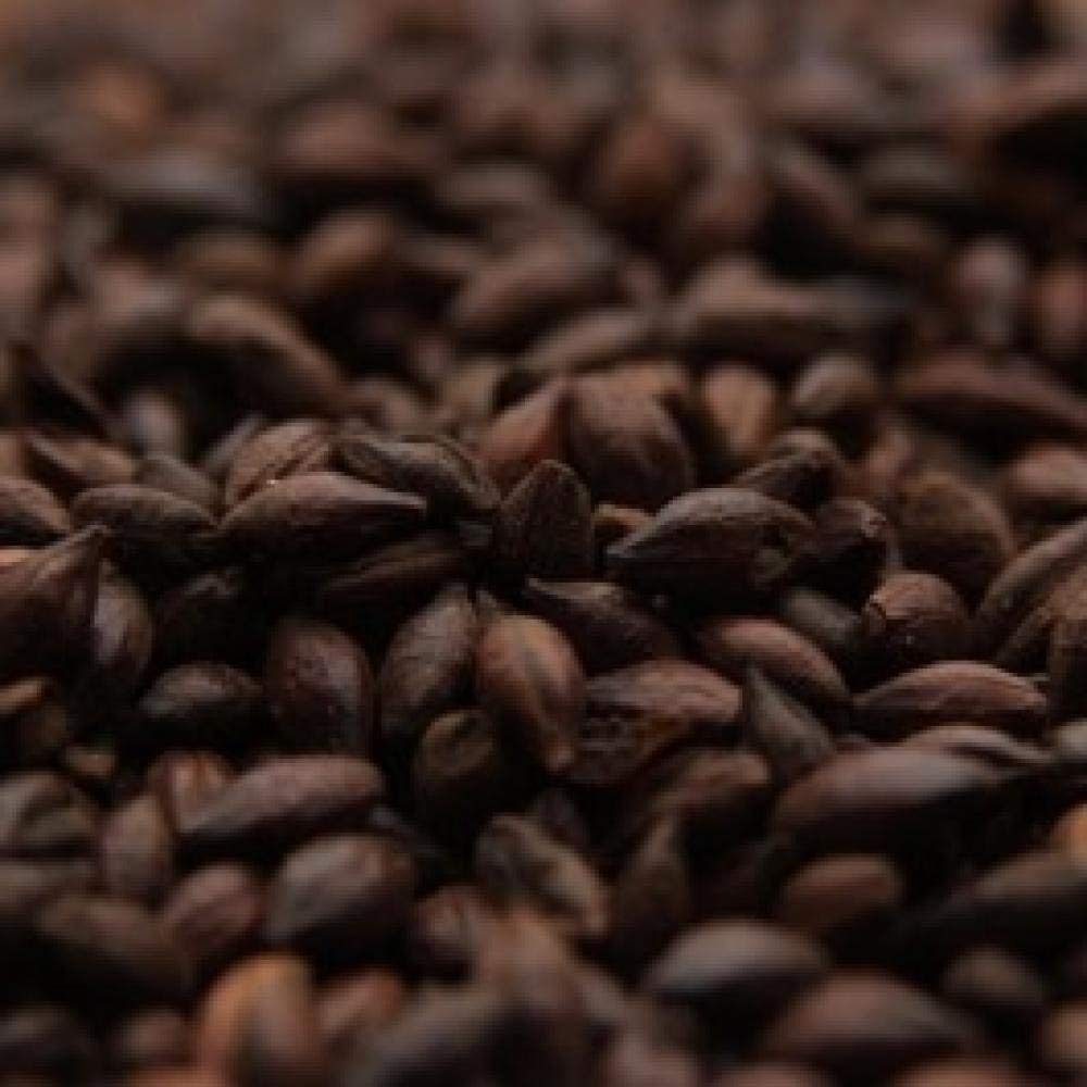 10LB BLACK MALT Briess Roasted Malted Barley for Beer Making (Formerly Black Patent Malt) - Unmilled - Image 2