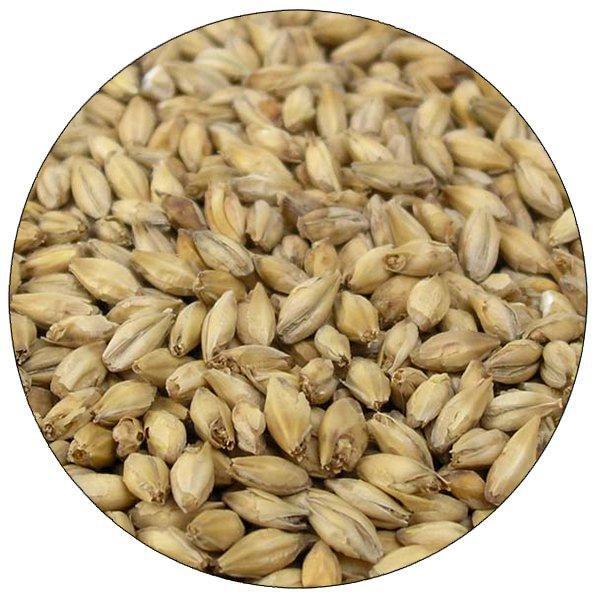 10LB BASE MALT - Rahr Brewers Malted Barley 10 lb - Image 2