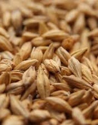 PROXIMITY Rye Malt 1 LB FACTORY PACKED