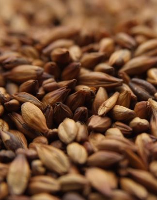 Weyermann Dark Munich Malt 1 LB Fresh Uncrushed (AKA Type II)
