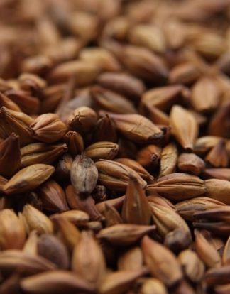 Weyermann Caramunich III Malt 1 LB (Dark Munich)