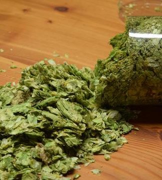 Centennial Leaf Hops 1LB SUPER CASCADE Whole Leaf Hop Cones