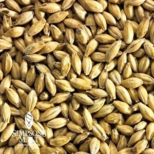 LEGENDARY Warminster Floor Malted Maris Otter 10LB Heirloom British 2-Row Pale Ale Base Malt