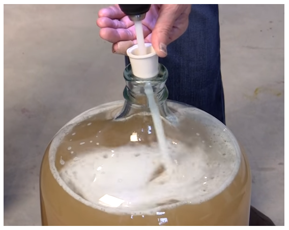 NEW VERSION The Whip Wine Degasser Mixer Stirrer from FermTech - Image 5