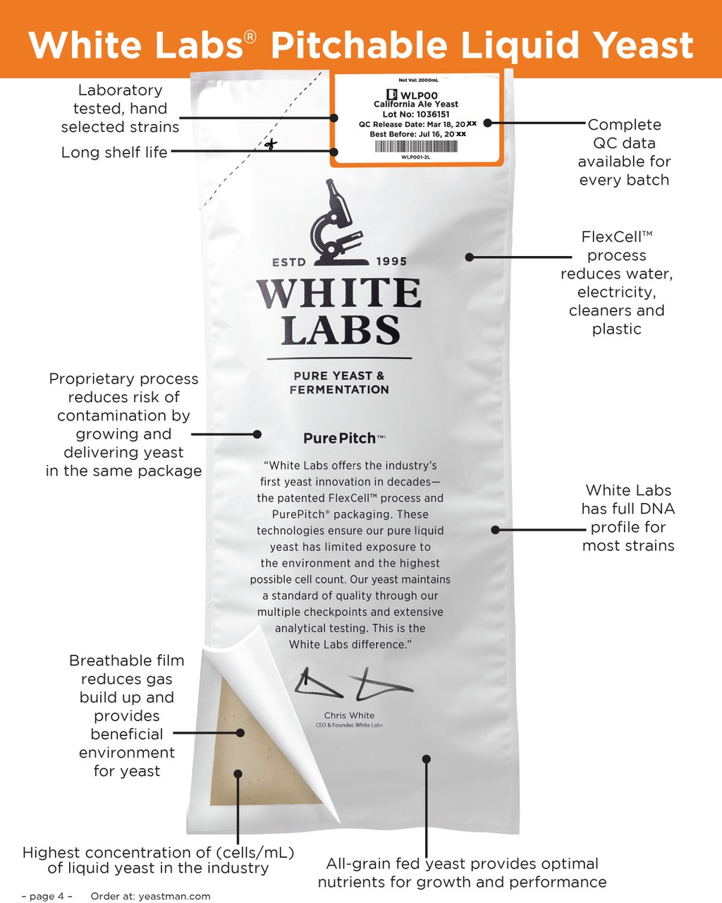 White Labs WLP001 California Ale Yeast - Liquid Yeast With Ice Pack - Image 5