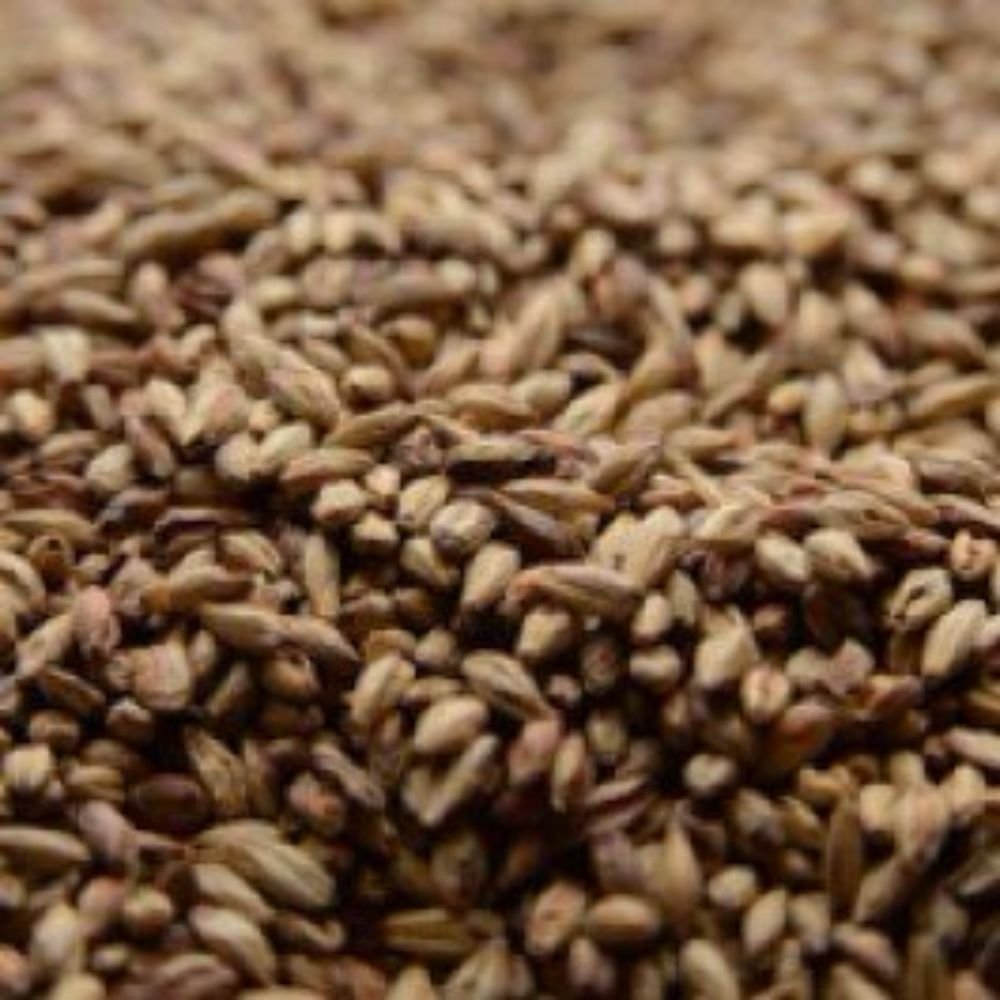 Briess VICTORY MALT 28L 1LB Uncrushed 2-Row (Biscuit Malt) - Image 5