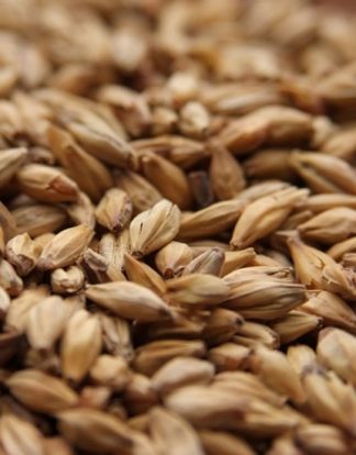 Melanoidin German Malt 5 lb