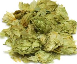 Willamette Hops (US) Whole Leaf Cone Hops 1 oz