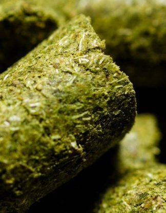 SAAZ 1 Ounce NOBLE HOPS Hop Pellets Bohemian Czech