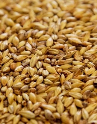Dingemans Cara 20 Malt (Caravienne) - 1 LB Uncrushed