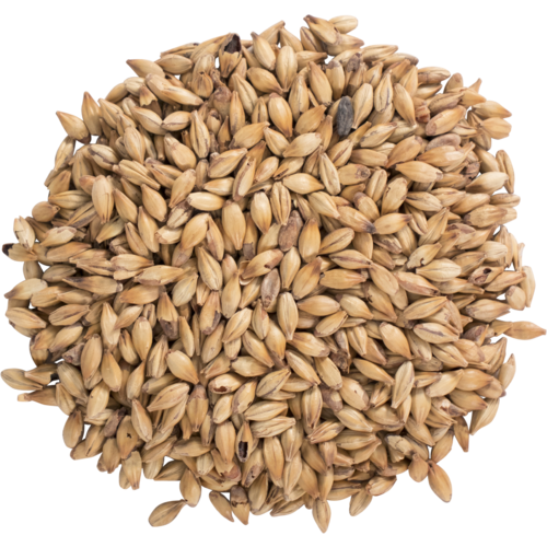 Bairds English Carastan Malt - 1 Pound Uncrushed