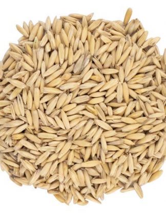 English Oat Malt - Thomas Fawcett & Sons 5 LB Uncrushed