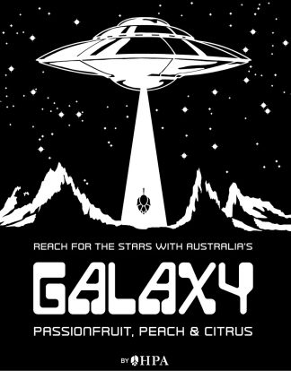 GALAXY HOPS 1oz Hop Pellets Back In Stock .9999