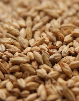 BRIESS 2-Row Brewers Base Malt - 1 LB Uncrushed
