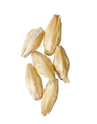 6-ROW MALT 5LBS Unmilled