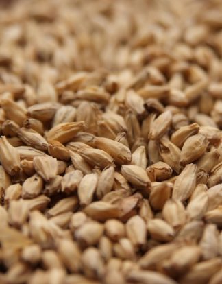 Rahr 6-Row Brewers Malt - 10 LB, Uncrushed