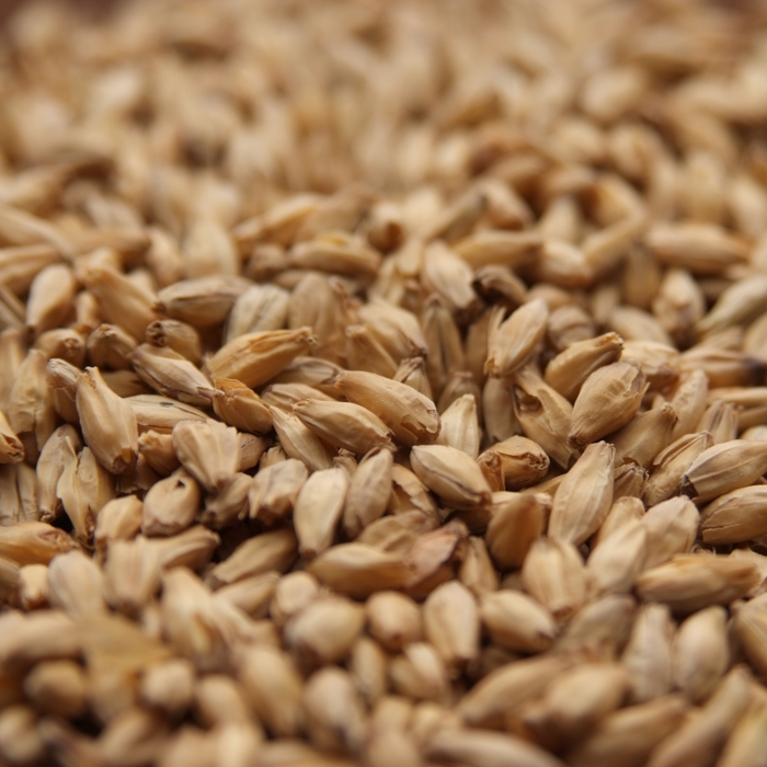 Rahr 6-Row Brewers Malt - 10 LB, Uncrushed