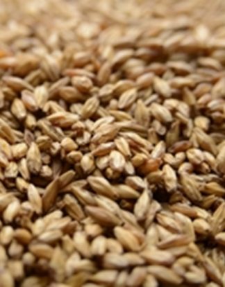 Briess Carapils Malt 10 Lb