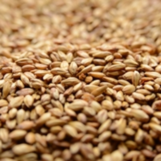CARAMEL MALT 10L 1LB Briess