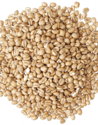TORRIFIED WHEAT Pregelatinized 10 Lb Perfect for Hazy IPA's
