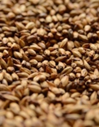 CARAMEL MALT 120L 1LB Briess