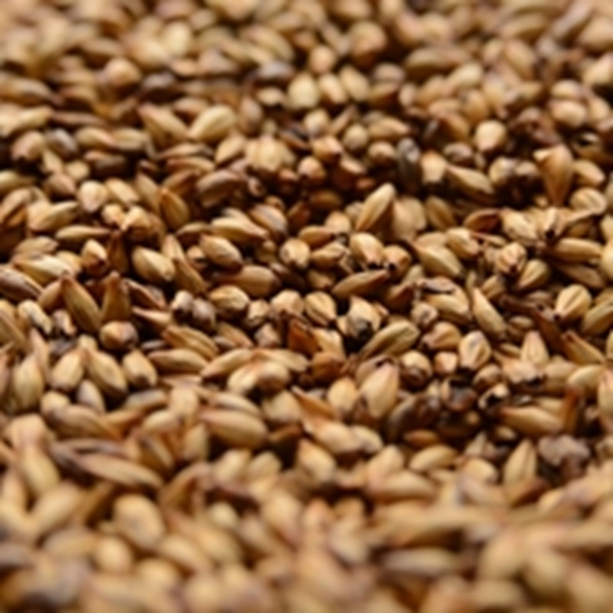 CARAMEL MALT 60L 1LB Briess - Image 2