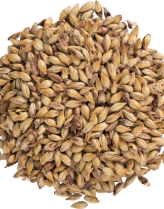 CARAMEL MALT 60L 1LB Briess