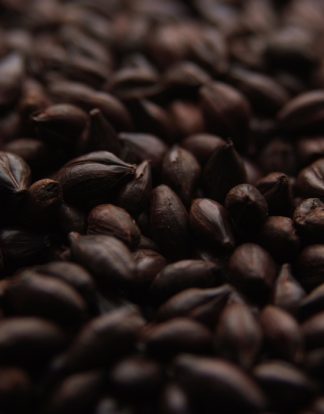 ROASTED BARLEY 1LB 700-800L from Crisp Malting "Our Darkest Grain"