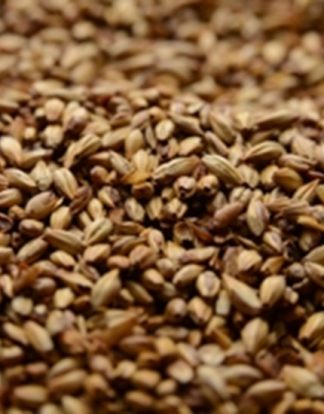 CARAMEL MALT 40L - 1 Pound Uncrushed