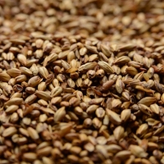 CARAMEL MALT 40L - 1 Pound Uncrushed