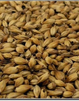Weyermann Caramunich Type II Malt 1 LB Unmilled Caramel Malt