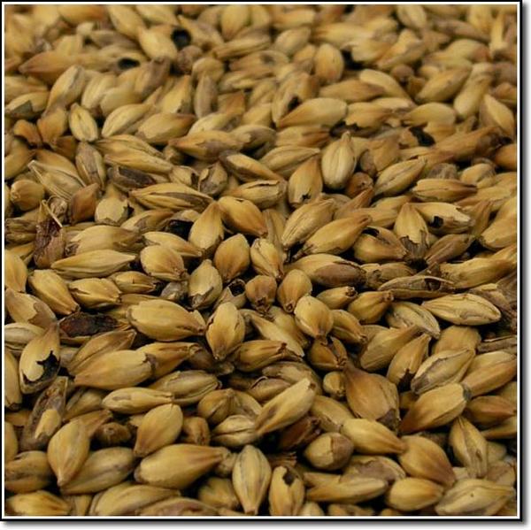 Weyermann Caramunich Type II Malt 1 LB Unmilled Caramel Malt