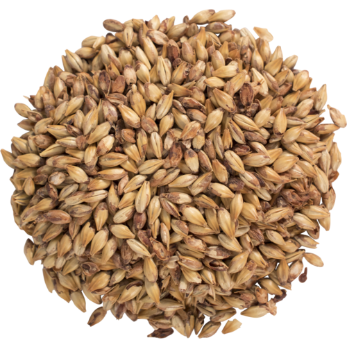 CARAMEL MALT 40L - 1 Pound Uncrushed - Image 2