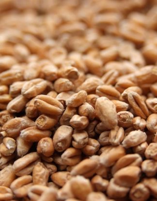 Weyermann PALE (Light) WHEAT Malt 1 LB Unmilled