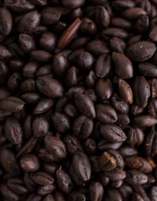 Weyermann CHOCOLATE RYE Malt 1 LB Unmilled "The X-Factor"