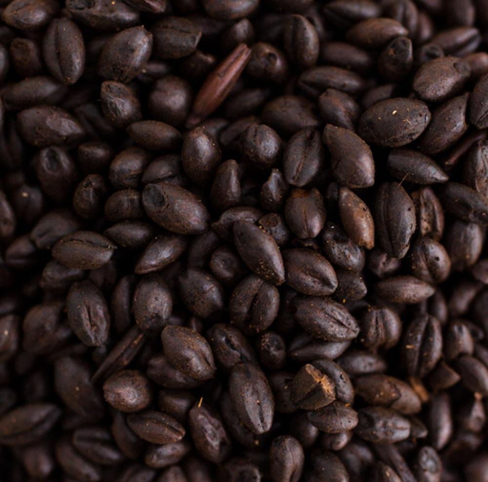 Weyermann CHOCOLATE RYE Malt 1 LB Unmilled "The X-Factor"