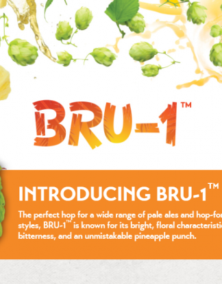 BRU-1 (USA) Hop Pellets 2 oz The Pineapple Punch - Hard to Find "Lupulin Unobtainium"