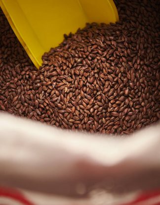 Weyermann CARAFA SPECIAL TYPE 2 Debittered Dark German Specialty Malt - 1 LB Uncrushed