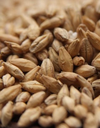 Weyermann PILSNER MALT 10LB MWEY7003