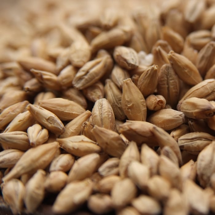 Weyermann PILSNER MALT 10LB MWEY7003