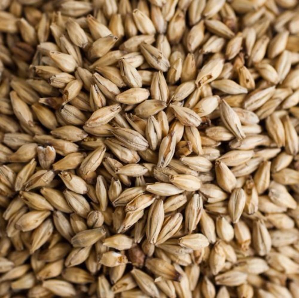 Weyermann PILSNER MALT 10LB MWEY7003 - Image 2